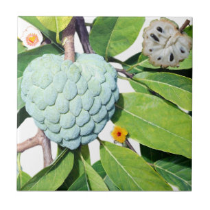 Der Zimt-Apfel Fliese