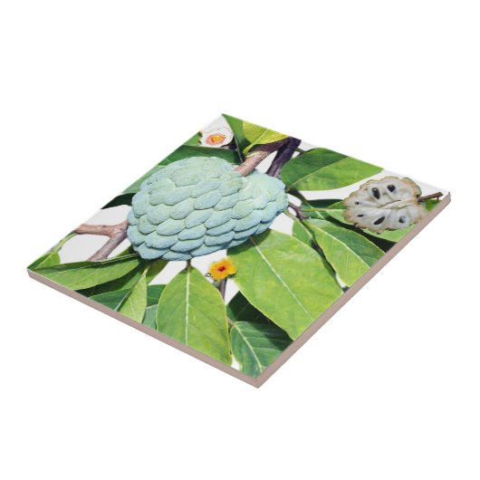 Der Zimt-Apfel Fliese (Seite)