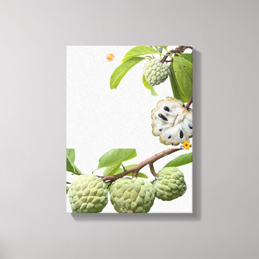 Der Zimt-Apfel Leinwanddruck (Vorderseite)