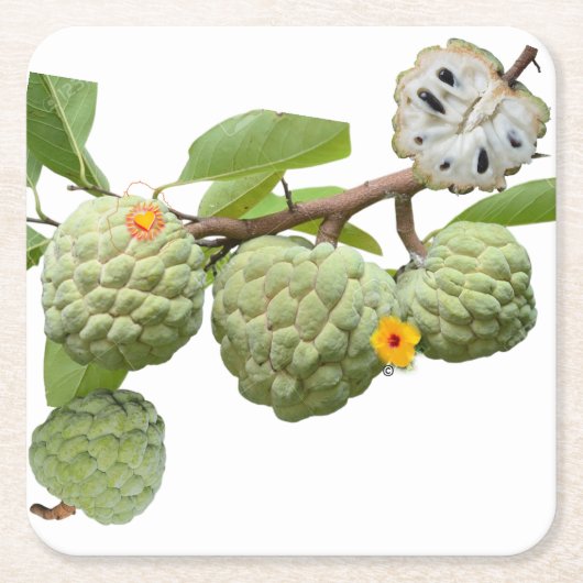 Der Zimt-Apfel Rechteckiger Pappuntersetzer (Vorderseite)