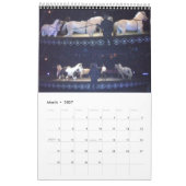 DER ZIRKUS-Kalender Kalender (Mär 2027)