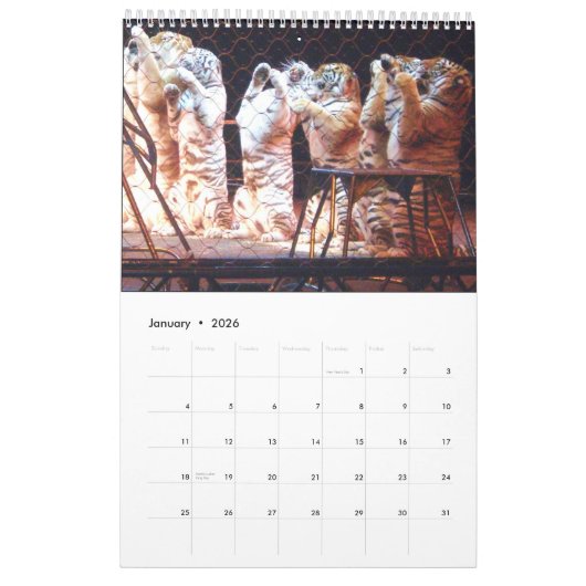 DER ZIRKUS-Kalender Kalender (Jan 2026)