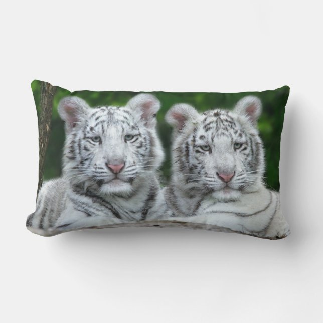 DER ZWEI WEISS-TIGER CUB PILLOW LENDENKISSEN (Vorderseite)
