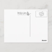 derby : skullphabet postkarte (Rückseite)