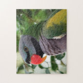 Derbyan Parakeet Jigsaw Puzzle (Vertikal)