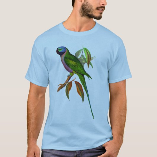 Derbyan Parakeet-Papagei T-Shirt (Vorderseite)