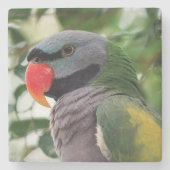 Derbyan Parakeet-Stein-Untersetzer Steinuntersetzer (Vorderseite)