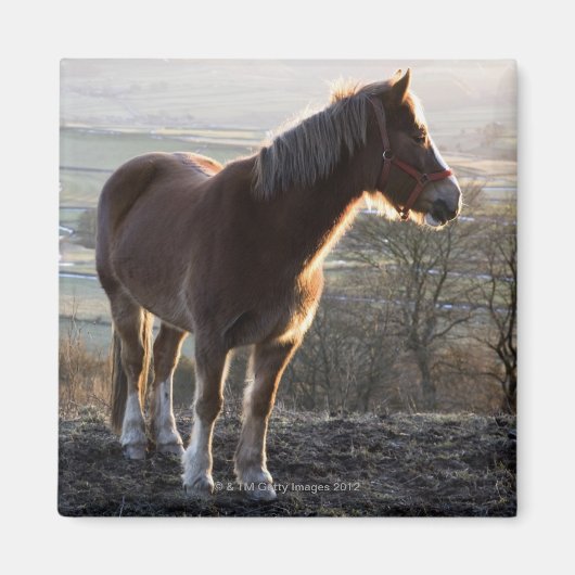 Derbyshire, England Magnet (Vorne)