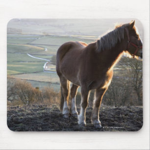 Derbyshire, England Mousepad