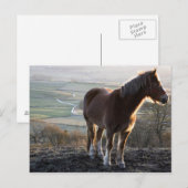 Derbyshire, England Postkarte (Vorne/Hinten)