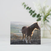 Derbyshire, England Postkarte (Stehend Vorderseite)