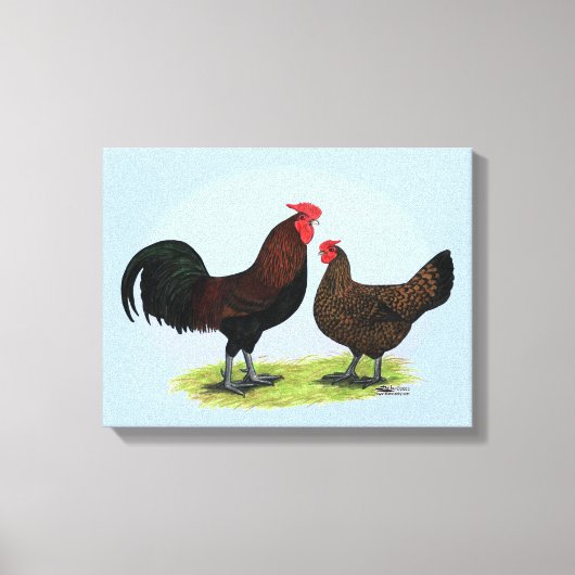 Derbyshire Redcap Fowl Leinwanddruck (Vorderseite)