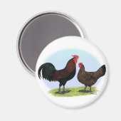 Derbyshire Redcap Fowl Magnet (Vorderseite/Rückseite)