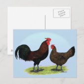 Derbyshire Redcap Fowl Postkarte (Vorne/Hinten)