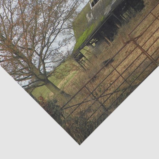 Derelict England Barn mit moosbedecktem Dach Seidenpapier (Ausschnitt)