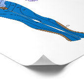Dermatom-Diagramm-Poster Poster (Ecke)