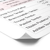 Dermatome, Myotomen und DTR-Poster Poster (Ecke)