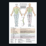 Dermatome, Myotomen und DTR-Poster Poster<br><div class="desc">Zeigt das dermatome Muster der Nerven der Gebärmutter, des Brustraums, der Lendenwirbelsäule und der Sakrale. Ein Dermatom ist ein Hautareal, das hauptsächlich von einem Rückenmarksnerv des Single gespeist wird. Es gibt acht Gebärmutternerven (eine Ausnahme bildet C1 ohne Dermatom), zwölf thorakale Nerven, fünf Lendennerven und fünf sakrale Nerven. Jeder dieser Nerven...</div>
