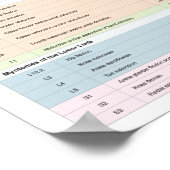 Dermatome Myotomes und DTR Poster Chiropractic (Ecke)