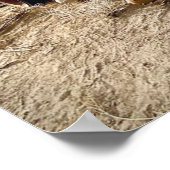 Derp Hunde auf einem Panzer in der Wüste Poster (Ecke)