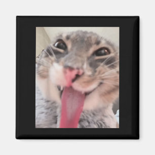 Derpy Cat Tongue Out Meme Funny Weirdcore gibt mir Magnet