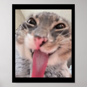 Derpy Cat Tongue Out Meme Funny Weirdcore gibt mir Poster