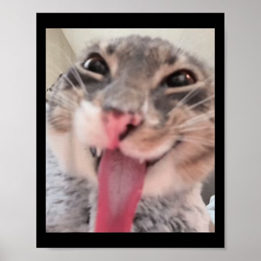 Derpy Cat Tongue Out Meme Funny Weirdcore gibt mir Poster (Vorne)