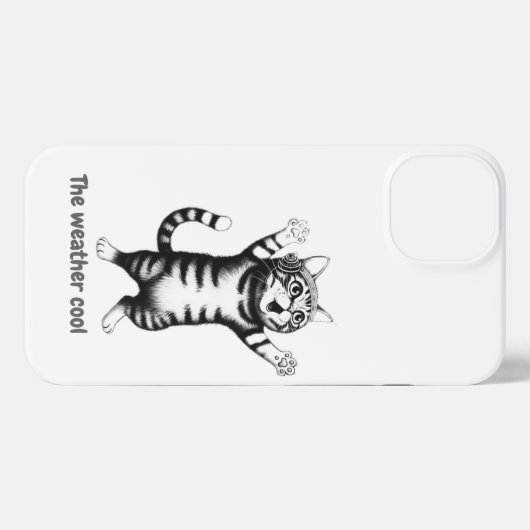 Derpy Kitty Phone Case - Maximale Kutness-Überlast iPhone Hülle (Rückseite (Horizontal))