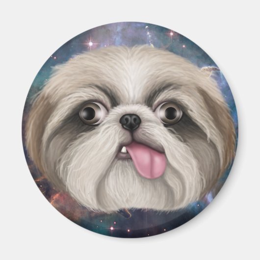 Derpy Shih Tzu Magnet (Vorne)