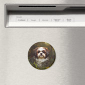 Derpy Shih Tzu Magnet (In Situ (Geschirrspüler))