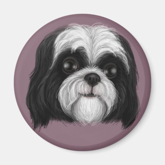 Derpy Shih Tzu Magnet (Vorne)