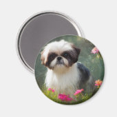 Derpy Shih Tzu Magnet (Vorderseite/Rückseite)
