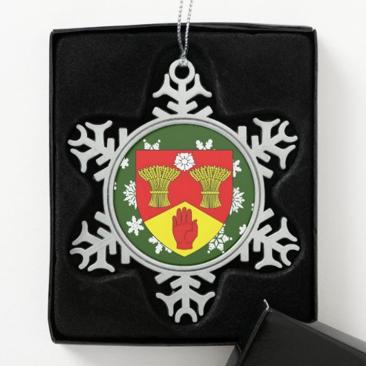 Derry Ireland Wappen Irish Schneeflocken Zinn-Ornament (Box)