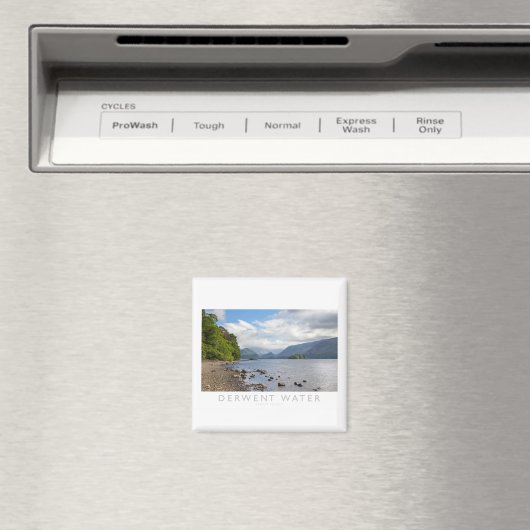 Derwent Water Magnet (In Situ (Geschirrspüler))