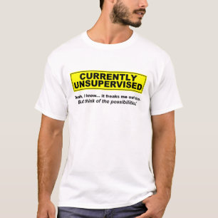 Derzeit unbeaufsichtigtes lustiges T-Shirt