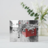 Des fleurs à Montréal Postkarte (Stehend Vorderseite)