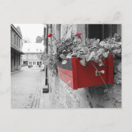 Des fleurs à Montréal Postkarte