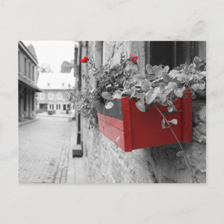 Des fleurs à Montréal Postkarte