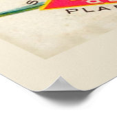 Des Moines, Iowa 1899 Poster (Ecke)