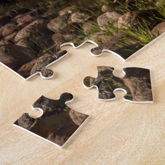 Des Moines Skyline nachts Puzzle (Seite)