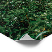 Desal Train Sri lanka Poster (Ecke)