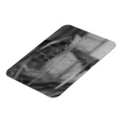 Deschampsia flexuosa magnet (Linke Seite)