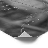 Deschampsia flexuosa poster (Ecke)