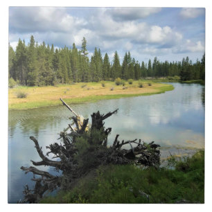 Deschutes River, OR Fliese