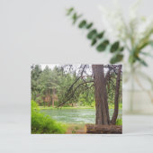 Deschutes River View Postkarte (Stehend Vorderseite)