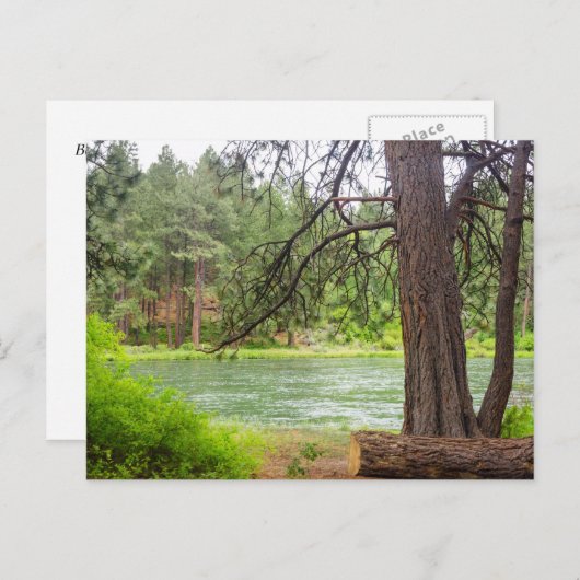 Deschutes River View Postkarte (Vorne/Hinten)