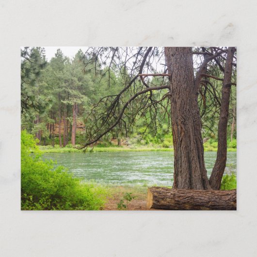 Deschutes River View Postkarte (Vorderseite)