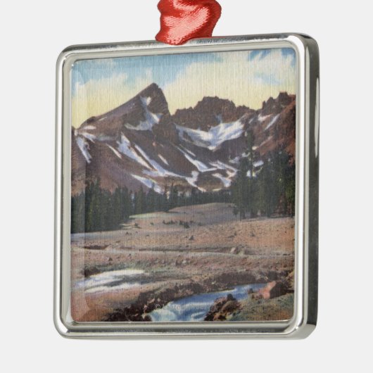 Deschutes staatlicher Wald ODER Silbernes Ornament (Links)
