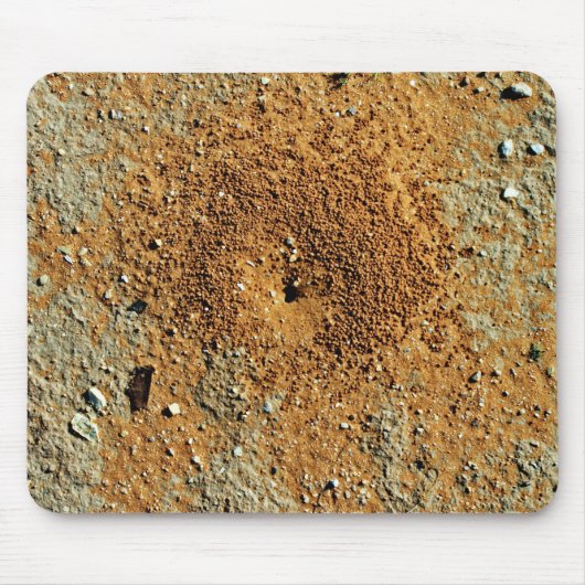 Desert Anthill Mousepad (Vorne)