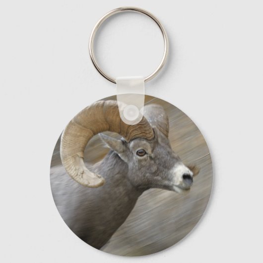 Desert Bighorn Ram Schlüsselanhänger (Vorderseite)